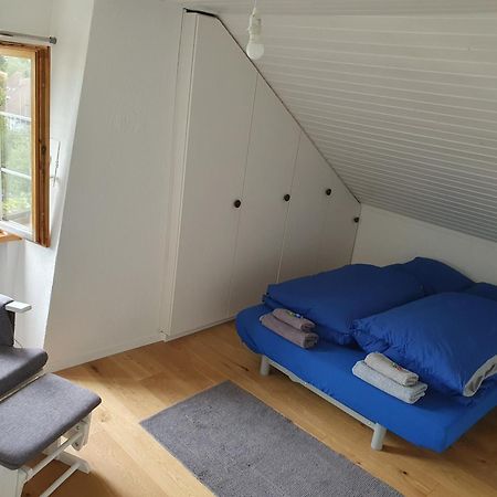 3 Bedroom Swiss House On 3 Floors Oberglatt Phòng bức ảnh