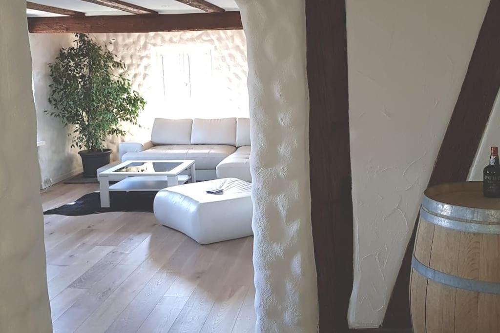 3 Bedroom Swiss House On 3 Floors Oberglatt Ngoại thất bức ảnh