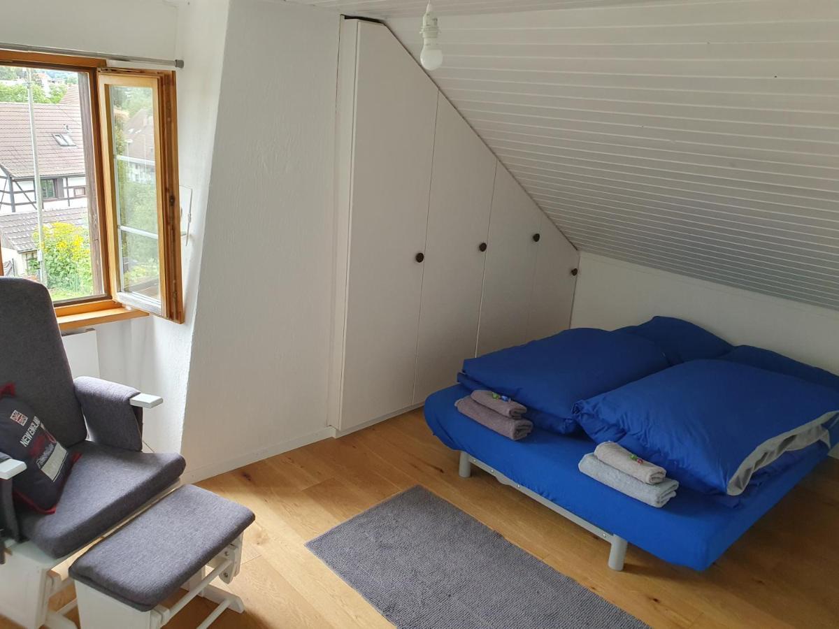 3 Bedroom Swiss House On 3 Floors Oberglatt Ngoại thất bức ảnh