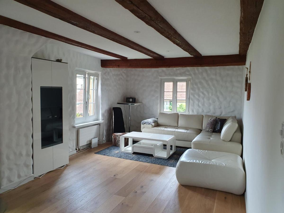 3 Bedroom Swiss House On 3 Floors Oberglatt Ngoại thất bức ảnh